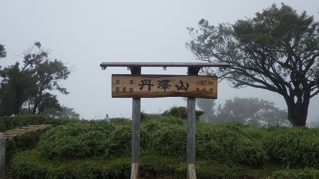 IGIG2294.jpg
