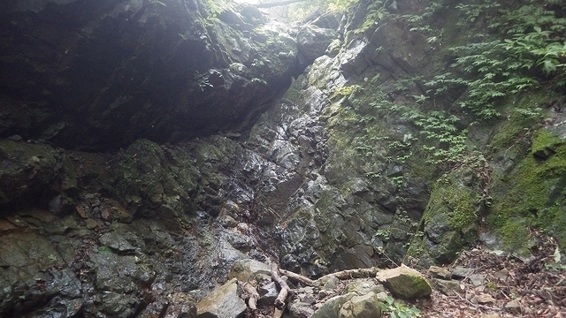 IGIG2448.jpg