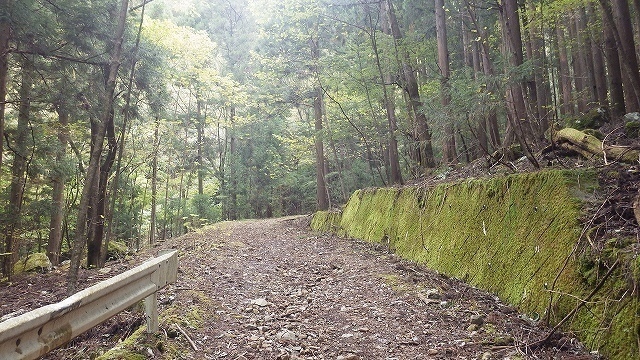 IGIG3364.jpg