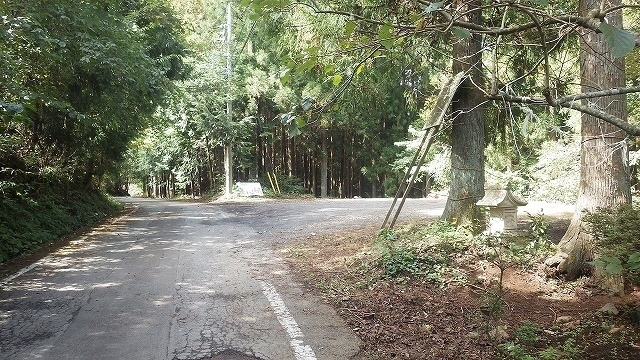 IGIG3370.jpg