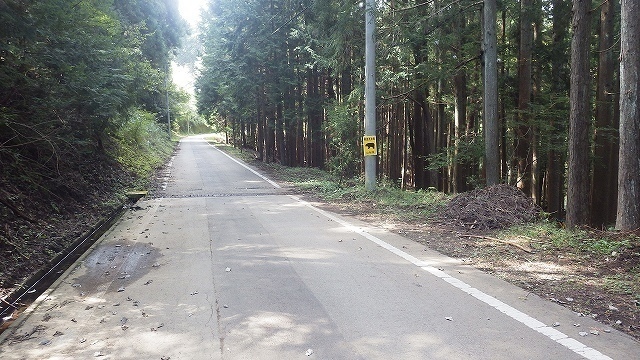 IGIG3372.jpg