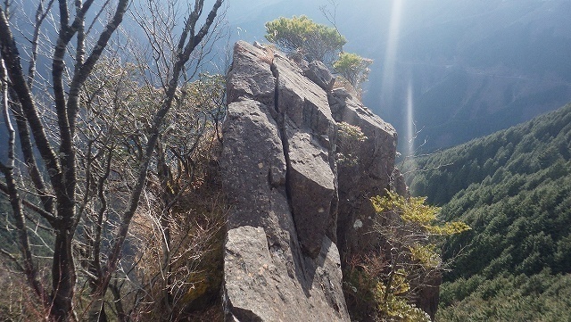IGA_0202.jpg