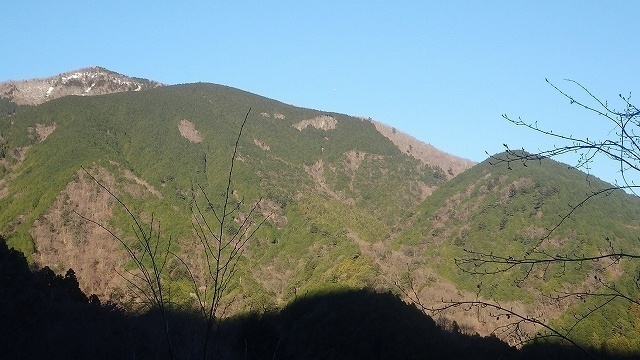 RIMG0008.jpg