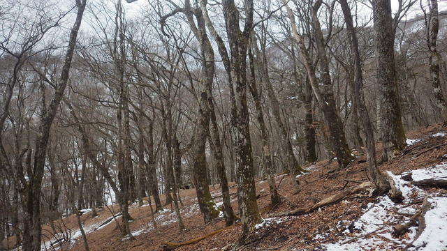 IGA_0332.JPG