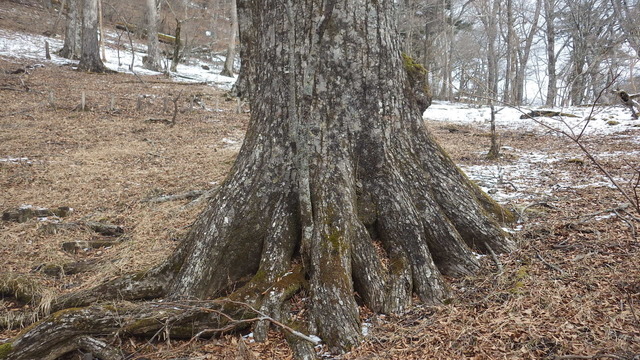 IGA_0335.JPG