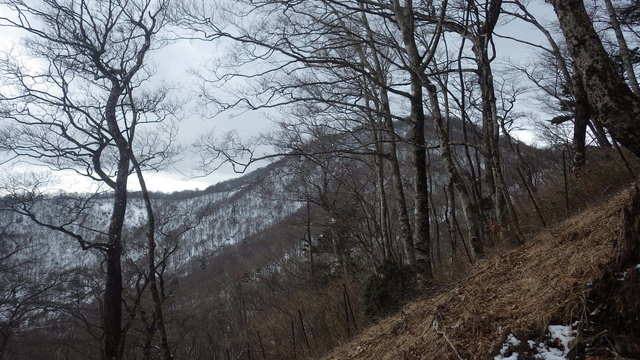 IGA_0340.JPG