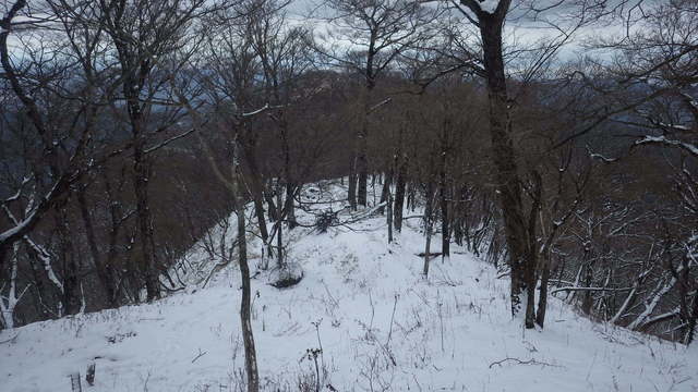 IGA_0345.JPG