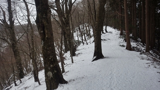 IGA_0357.jpg