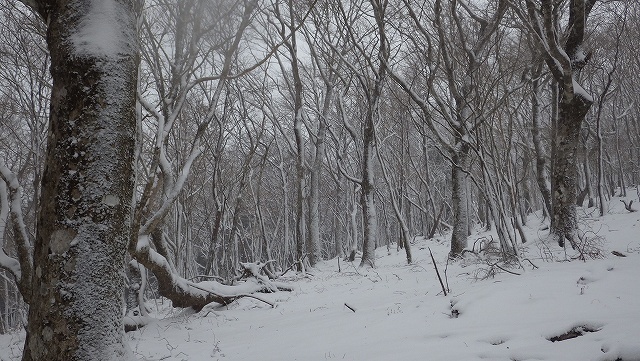 IGA_0378.jpg