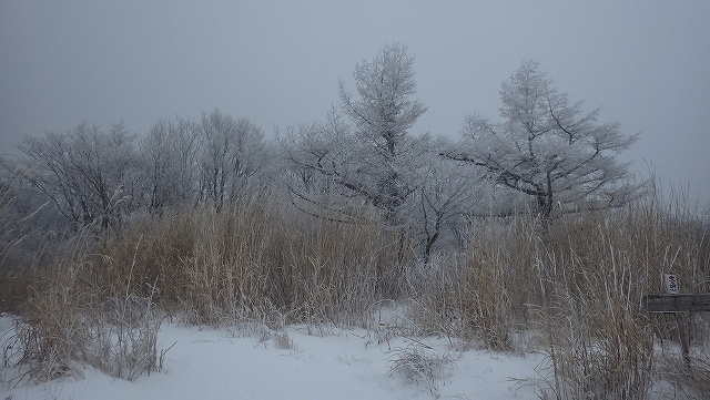 IGA_0410.jpg