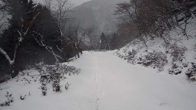 IGA_0414.jpg
