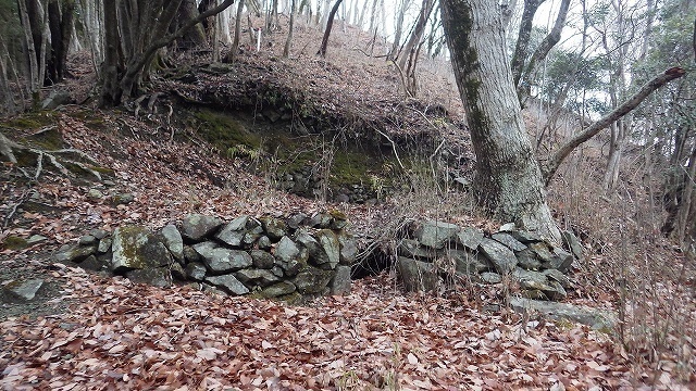 IGA_0448.jpg