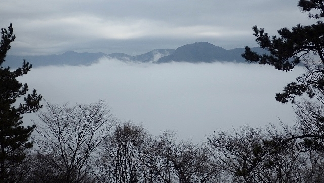 IGA_0460.jpg