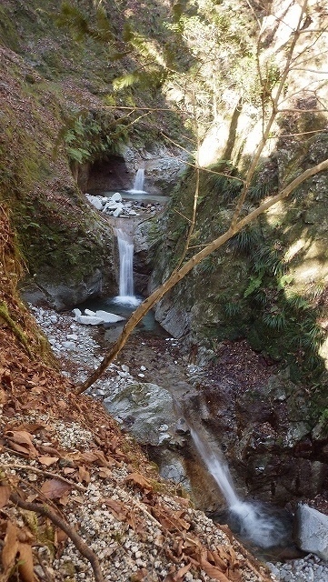 IGA_1082.jpg