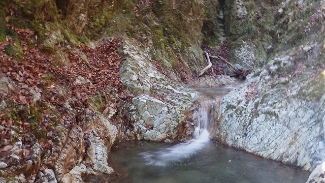 IGA_1071-1.jpg