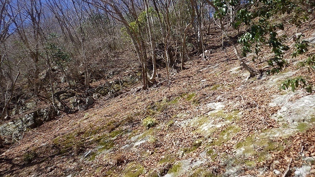 IGA_1128.jpg