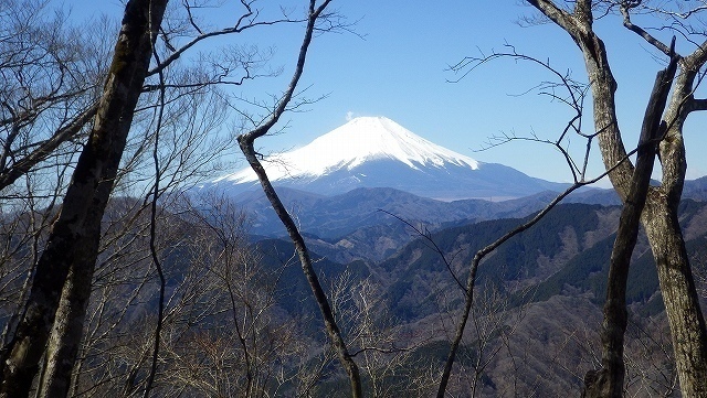 IGA_1130.jpg