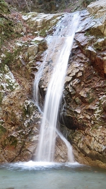 IGA_1087-1.jpg