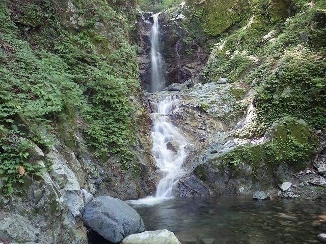 IGA_1459.jpg