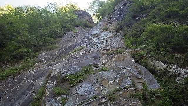 IGA_1480.jpg