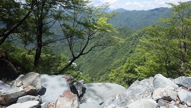 IGA_1482.jpg