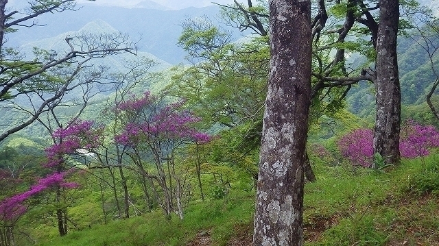IGA_1504.jpg