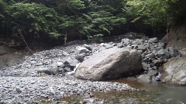 IGA_1573.jpg