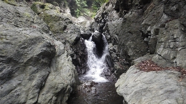 IGA_1585.jpg