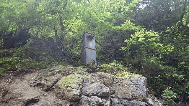 IGA_1589.jpg