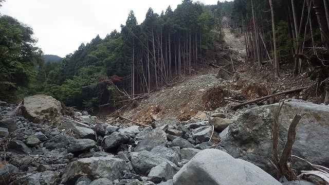 IGA_1617.jpg