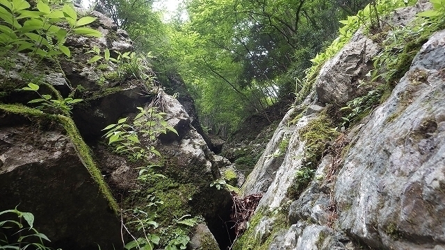 IGA_1647.jpg