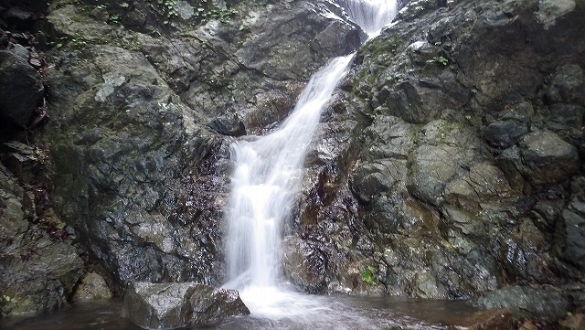 IGA_1759.jpg