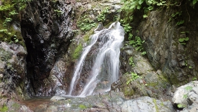 IGA_1745.jpg