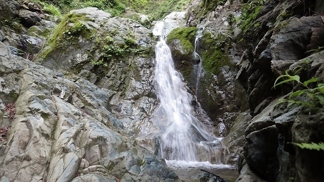 IGA_1739.jpg