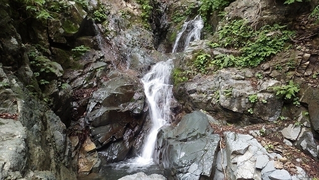 IGA_1744.jpg