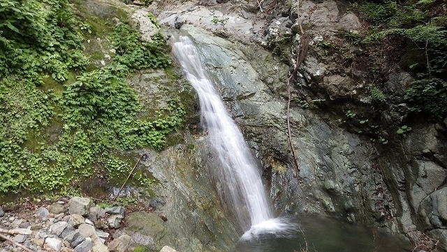 IGA_1742.jpg