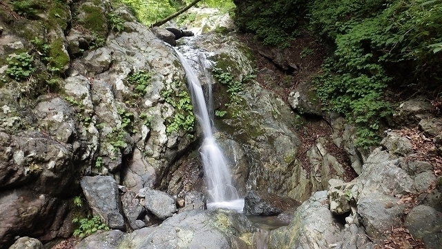 IGA_1747.jpg