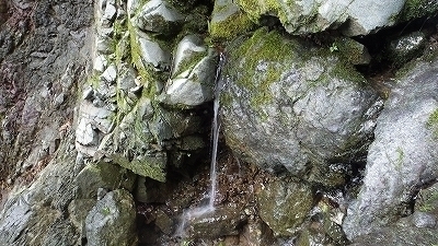IGA_1761.jpg