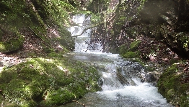 IGA_1892.jpg