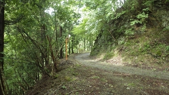 IGA_1874.jpg