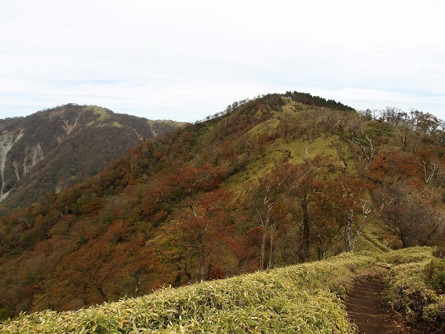 100_0345.jpg