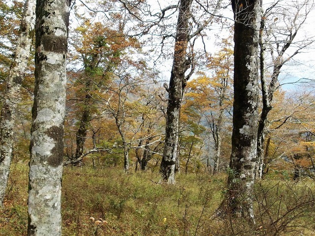100_0357.jpg