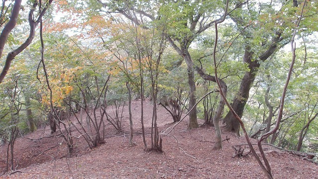 100_0063.jpg