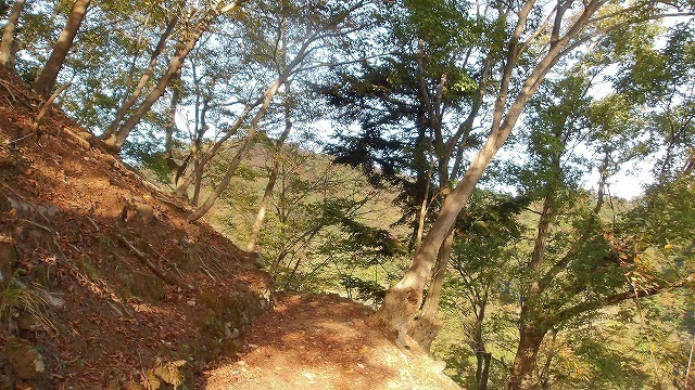 100_0061.jpg