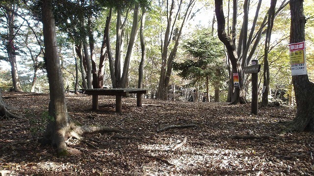 100_0021.jpg