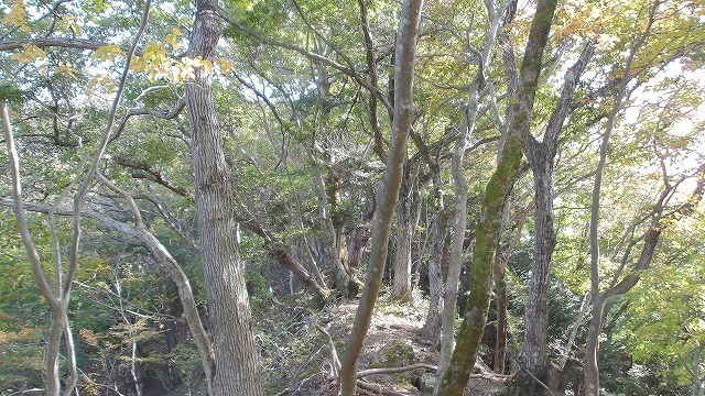 100_0073.jpg