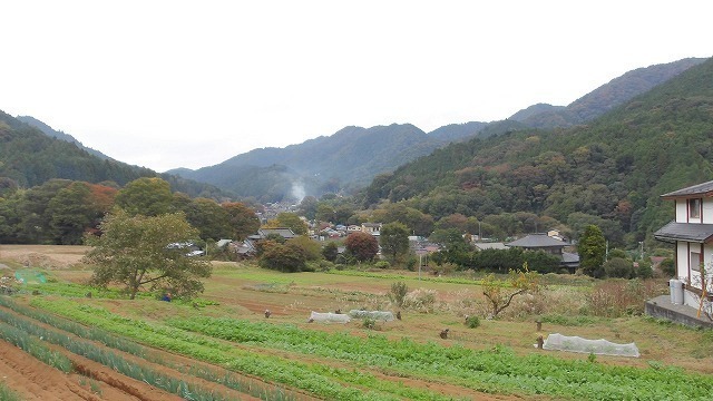 100_0082.jpg