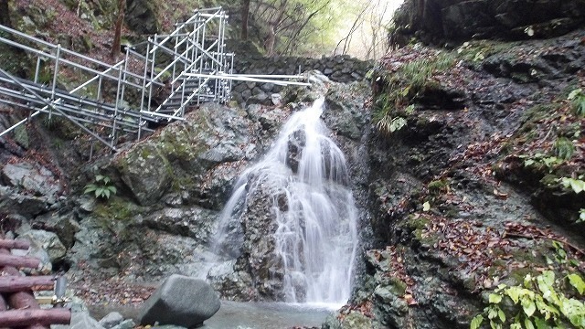 100_0096.jpg