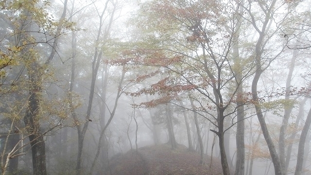100_0104.jpg