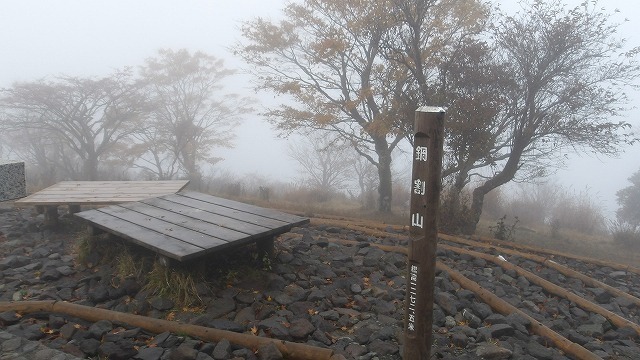 100_0111.jpg